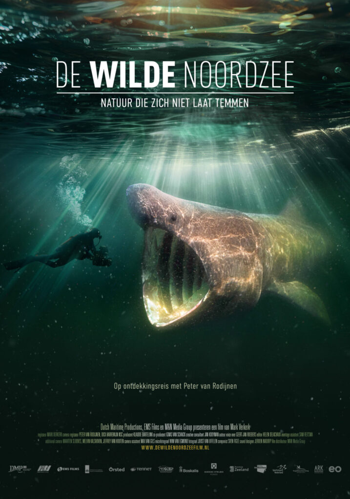 Verwacht 6